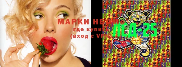 винт Аркадак