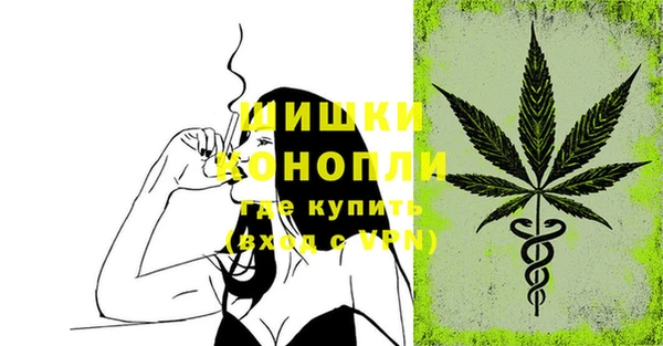 apvp Арсеньев
