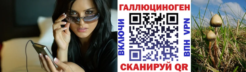 Галлюциногенные грибы GOLDEN TEACHER  Дмитров 