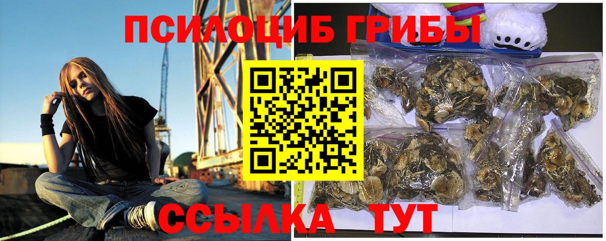 Дмитров  Галлюциногенные грибы MAGIC MUSHROOMS  Псилоцибиновые грибы ЛСД  Вход с VPN 