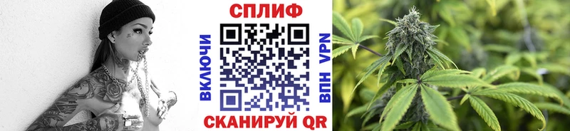 как найти   Дмитров  Каннабис конопля 